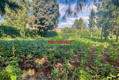 0.06 ha Commercial Land at Thogoto