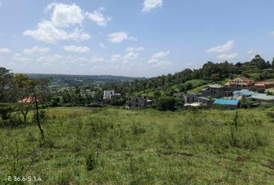 0.25 ac Land at Kibiko - 3