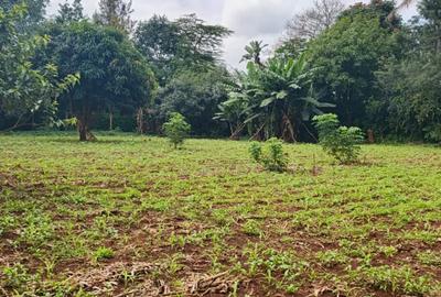 0.5 ac Land in Runda - 4