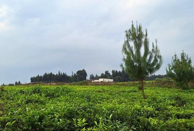 1 ac Residential Land at Tigoni