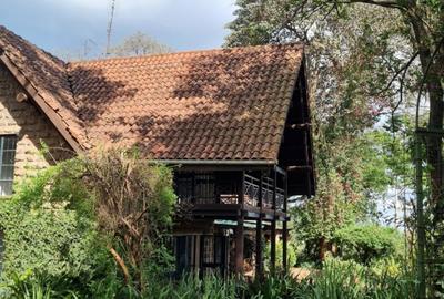 3 Bed House with Garden in Nyari - 4