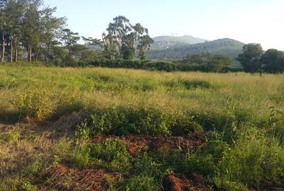 0.10 ha Land at Kibiko