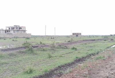 0.125 ac Land at Mhasibu Estate - Juja Farm