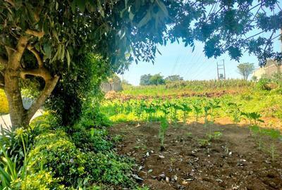 0.5 ac Land in Tigoni