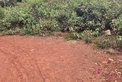 Commercial Property in Karen - 2