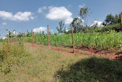 5,000 ft² Land at Muchatha Banana Kiambu - 4