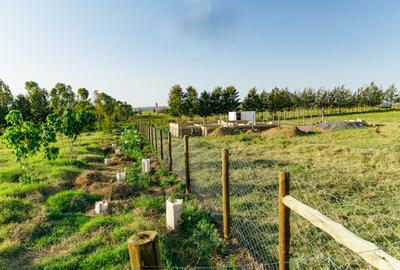 0.125 ac Residential Land in Naivasha - 2