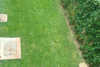 5 Bed House with En Suite in Kyuna - 4