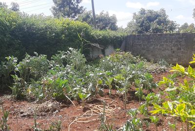 3 Bed House with En Suite at Tigoni Road - 4