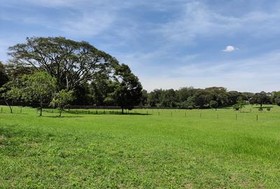 1 ac Land in Karen - 2