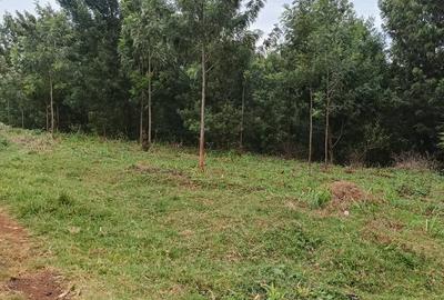 Land in Meru