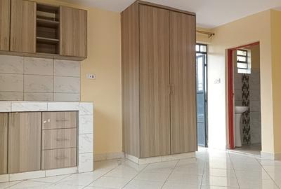 Studio Apartment in Ruaka - 2