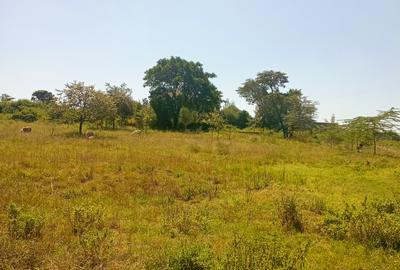 Land at Membley