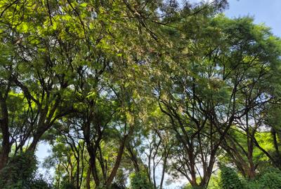 Land in Kitisuru - 4