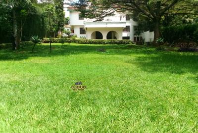 Commercial Property with Parking in Lavington