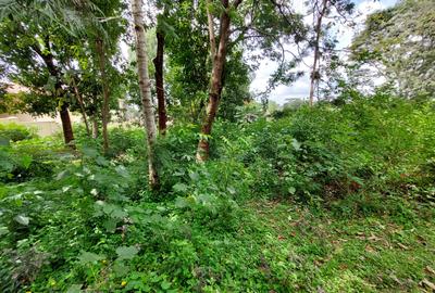 Residential Land at Runda Grove - 2