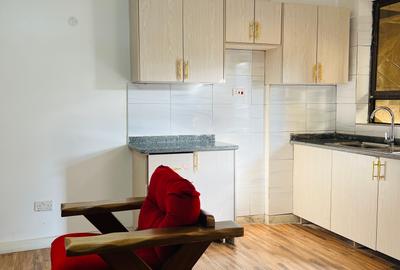 Studio Apartment with En Suite at Safari Park - 4