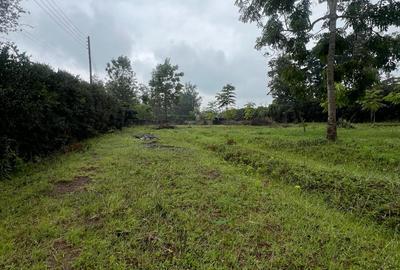 1 ac Land in Karen Hardy - 2