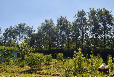 Land at Silanga Road