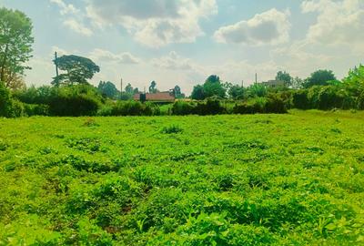 1,000 m² Residential Land at Ondiri