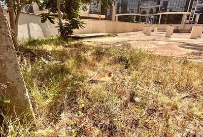 0.64 ac Commercial Land in Spring Valley - 3