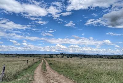 10 ac Land in Nanyuki