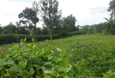 0.5 ac Residential Land in Thome