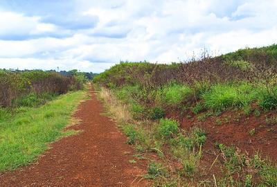 1 ac Commercial Land at Ruiru