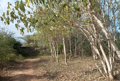 1 ac Commercial Land in Vipingo