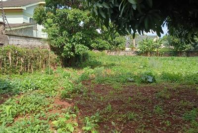 Residential Land at Runda