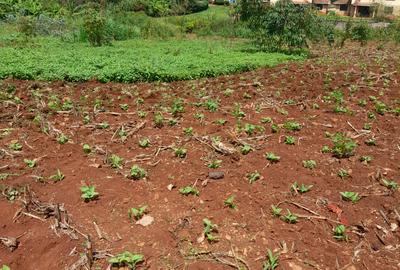 1.3 m² Land at Kiambu Road