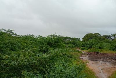 12 ac Land at Mambrui