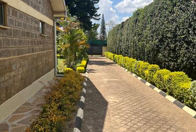 Land at Thome