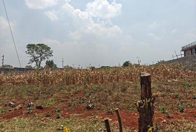 0.5 ac Land at Runda - 3