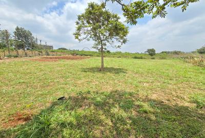 Residential Land at Runda Garden