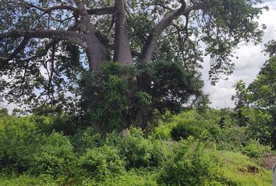 0.25 ac Land at Diani Beach Road - 2