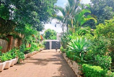 6 Bed House with En Suite in Kileleshwa - 3