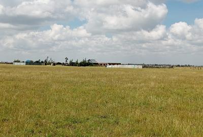 Residential Land at Malaa - 2