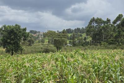 0.25 ac Residential Land in Ngong - 2