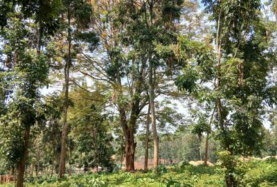 10 ac Land in Kabete - 2