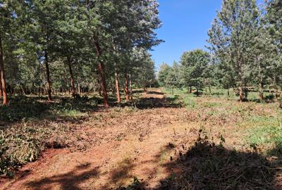 Residential Land in Ruiru