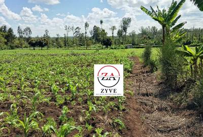 1.5 ac Land at Kenol - 4