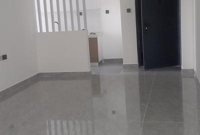 2 Bed Apartment with En Suite in Kilimani