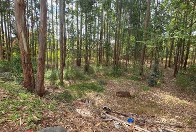 0.5 ac Land in Ridgeways - 3