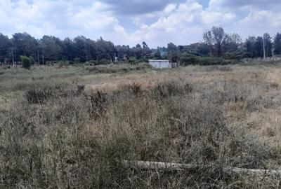 0.5 ac Land at Kerarapon Drive - 2