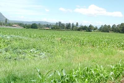 1 ac Land at Bahati