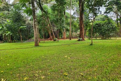 4 Bed Townhouse with En Suite in Lake View - 3