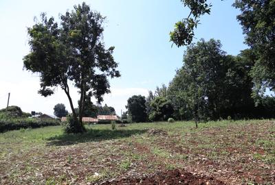 Land in Kitisuru