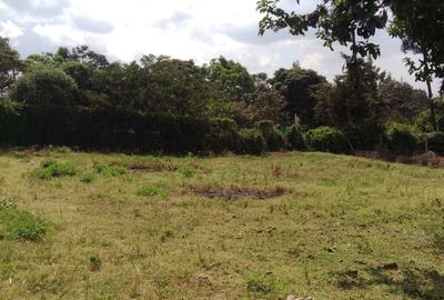 0.08 ha Land at Lemiso Road - 3