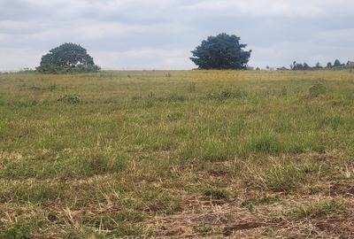 62 ac Land at Riabai